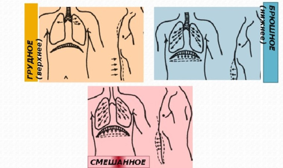 ProДыхание подробный гайд
