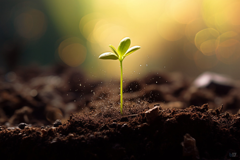 Ночь темнее всего перед рассветом