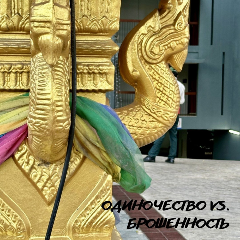 Одиночество vs брошенность