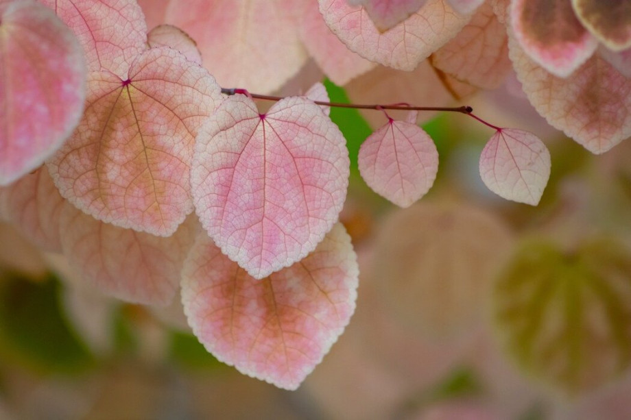 Почему формализм в терапии не работает во благо клиенту