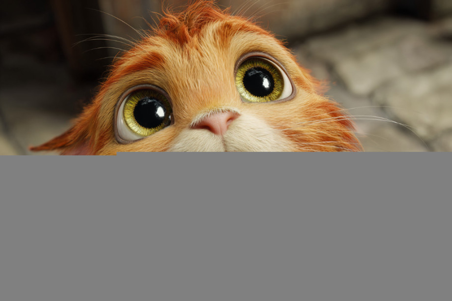 Как просить так чтобы получать магия взаимности и капля здравого цинизма