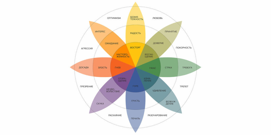 Польза эмоциональной регуляции  телесная практика для е развития
