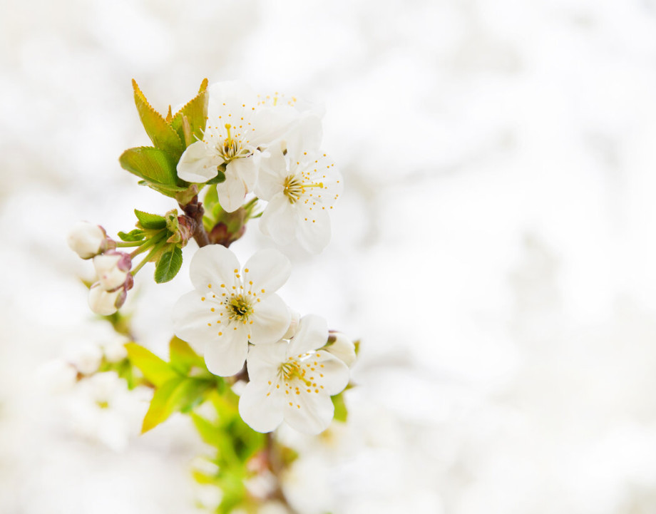 Трудоголизм цена успеха