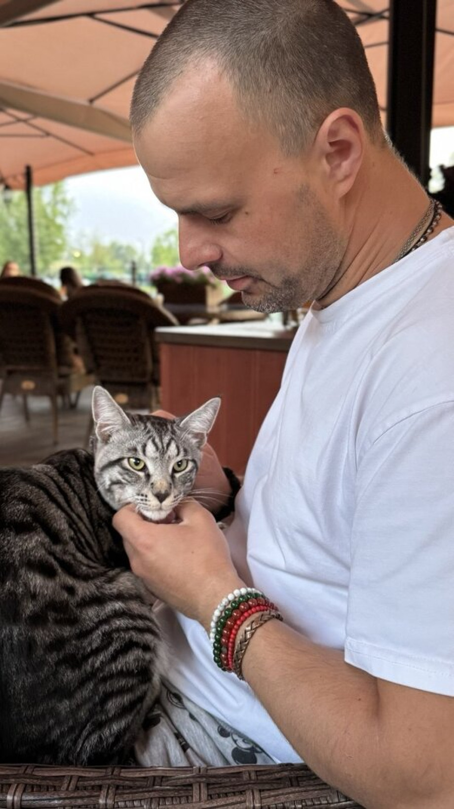 Алиса в стране чудес