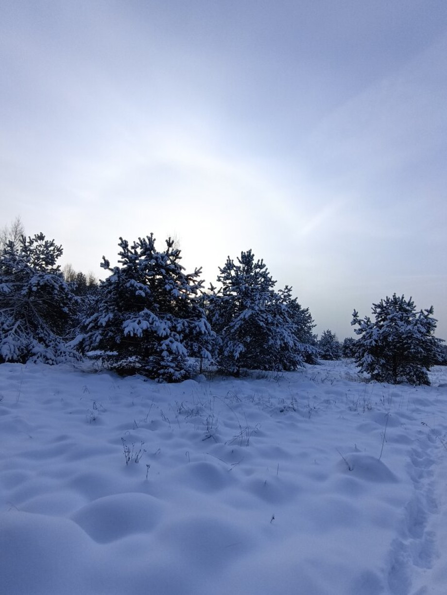 Земля да т силу