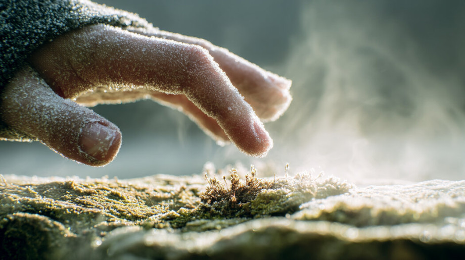 Я заморожен Как вернуться в тело после шока