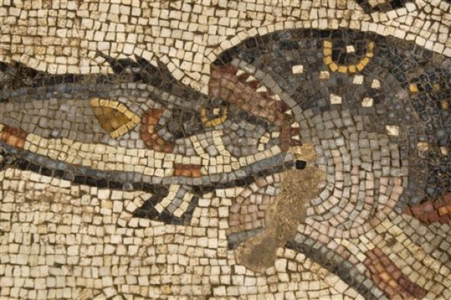 Пограничное функционирование взаимодействие с другими