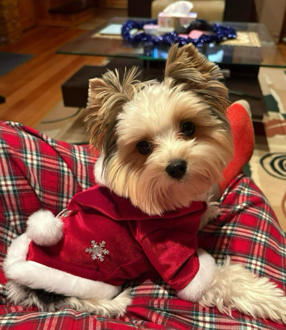 Как я выбрала заботу о себе в этот Новый год