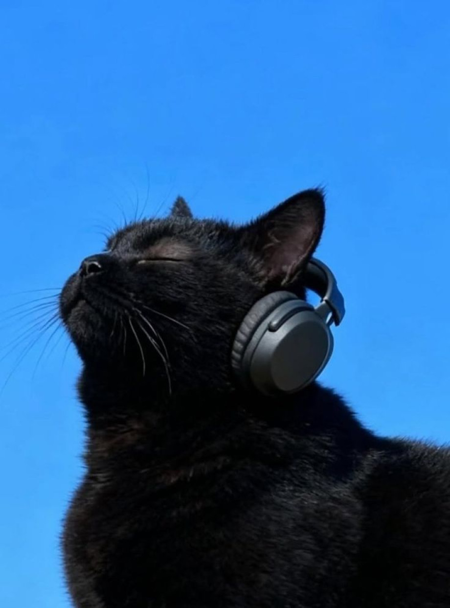 Сенсорные потребности при нейроотличиях строим индивидуальный сенсорный профиль