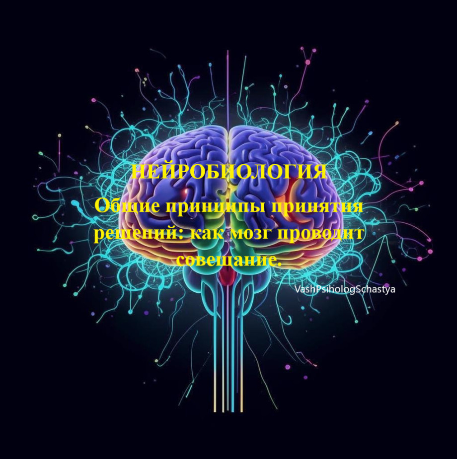 Нейробиология Общие принципы принятия решений как мозг проводит совещание