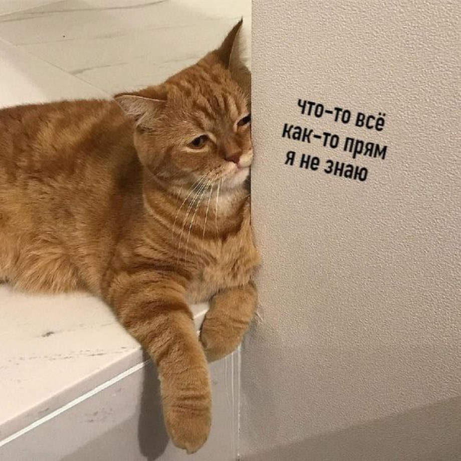 Когда мир штормит 6 занятий которые возвращают ощущение контроля