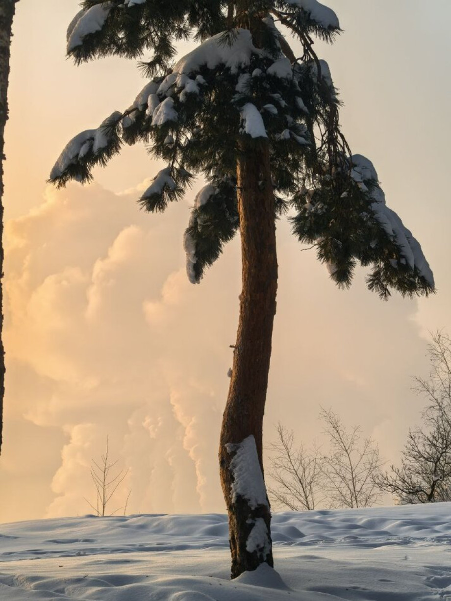 Взаимность