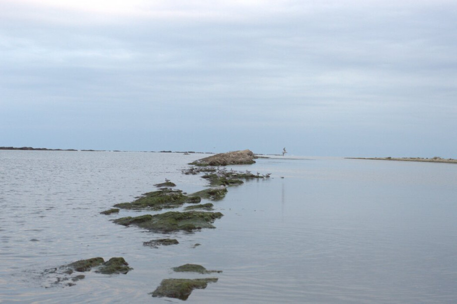 Почему длительная а не краткосрочная терапия